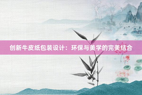 创新牛皮纸包装设计：环保与美学的完美结合