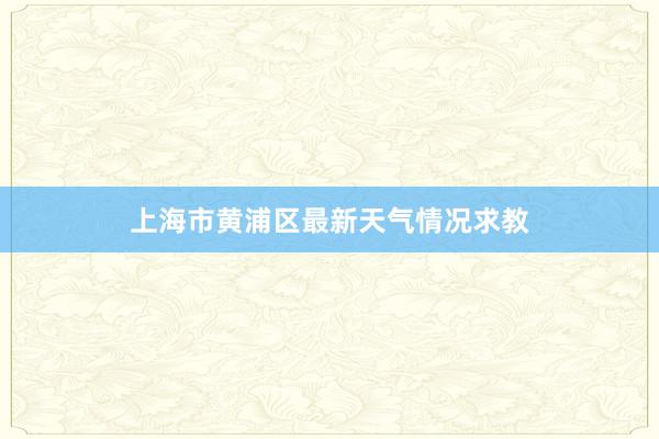 上海市黄浦区最新天气情况求教